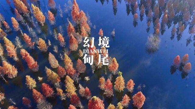 可爱的蜗牛拼图