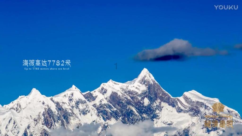 救援卡通熊仔