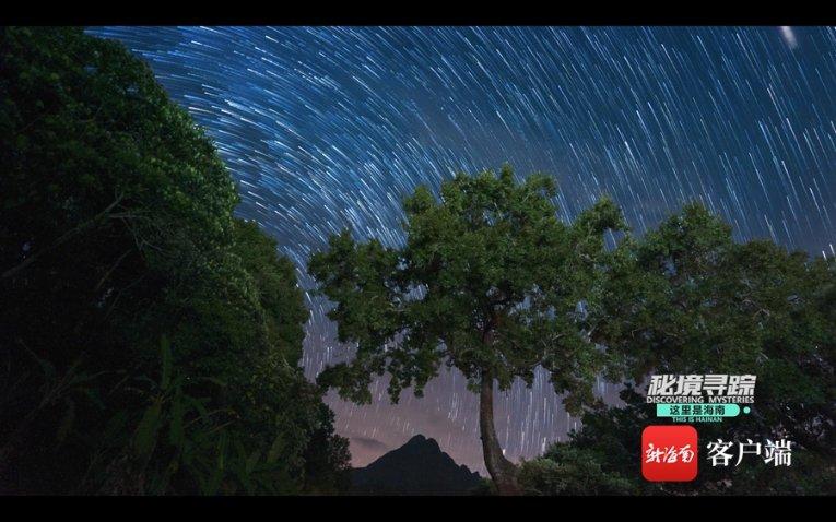 QQ企鹅
