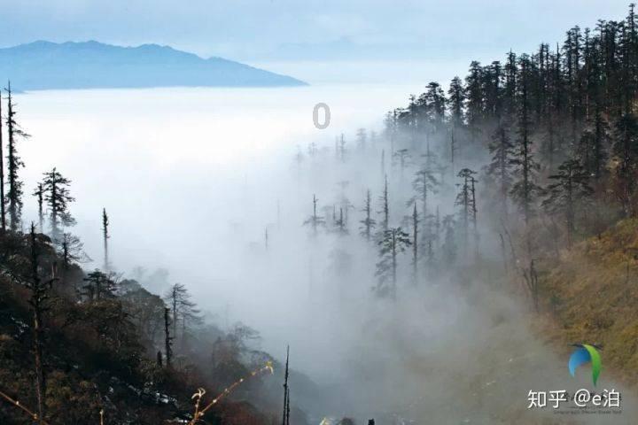 探索知识的钱够花就行了现在这种社会知足常乐。该怎么回复合适?问答平台