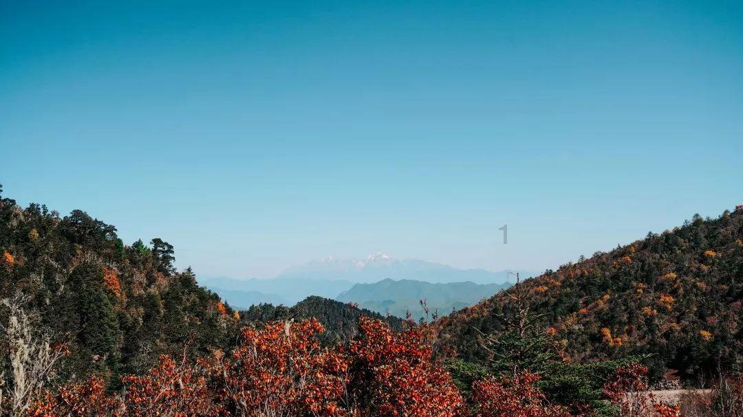 李自成九宫山遇难后,数万大顺军为何按兵不动 ? 因何不血洗村寨?