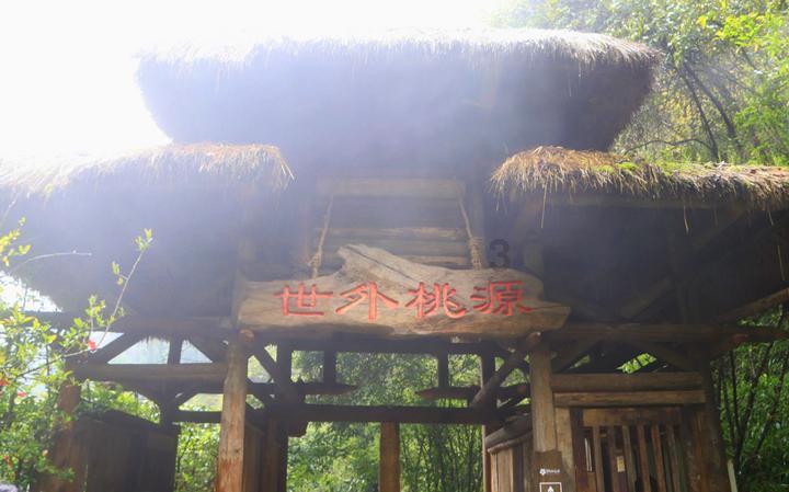 如约而至