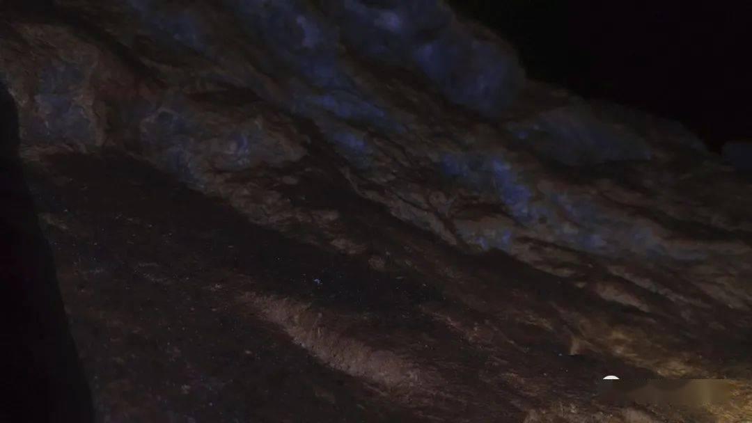 牧场物语希望之光