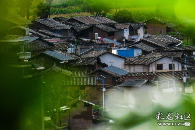 算术24点