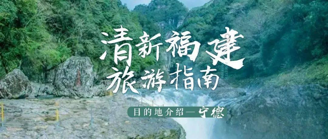 寻找丢失的金币