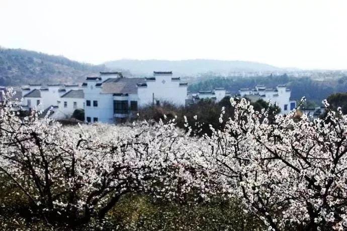 怪物大拼图