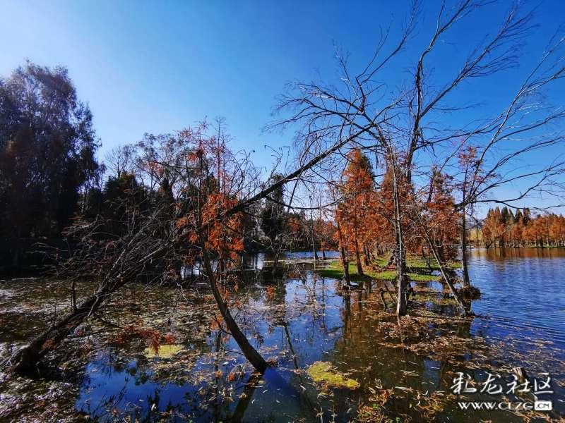 2023年苹果首次拿到中国年销量第一,但今年恐怕不行了