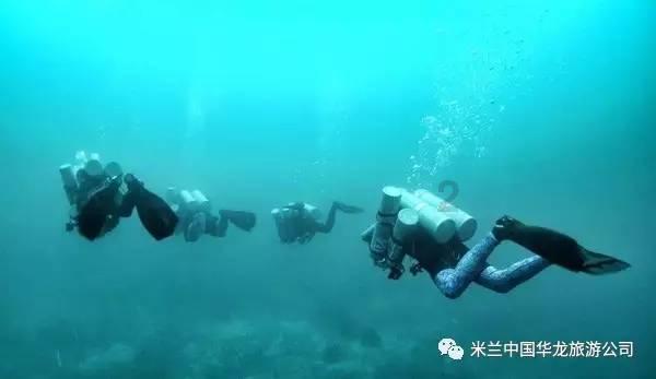 饥饿的哈利