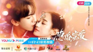 美丽的铅笔裙
