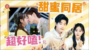 小猫钓鱼正版下载中文版