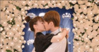 蓝狐视频