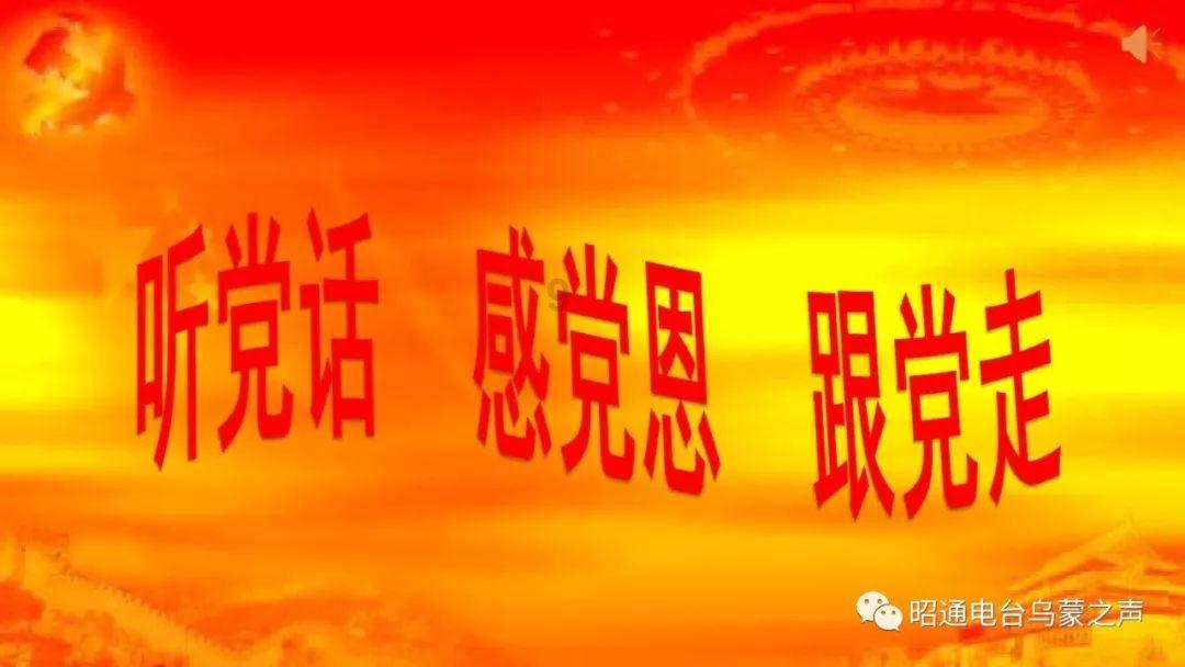 植物大战僵尸15