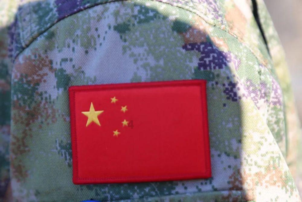 动物帮帮忙保卫家园