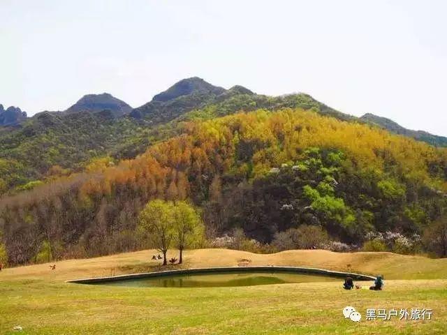 乘客打车去武汉天河机场被司机索要往返高速费，滴滴出行：系违规行为