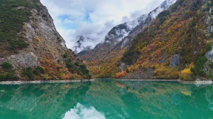 银发经济一号文与健康老龄化十年：世卫组织ICOPE整合照护实践的中国答卷