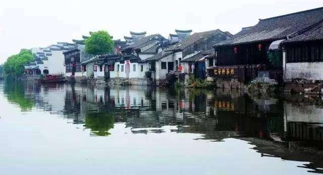 细胞分裂4