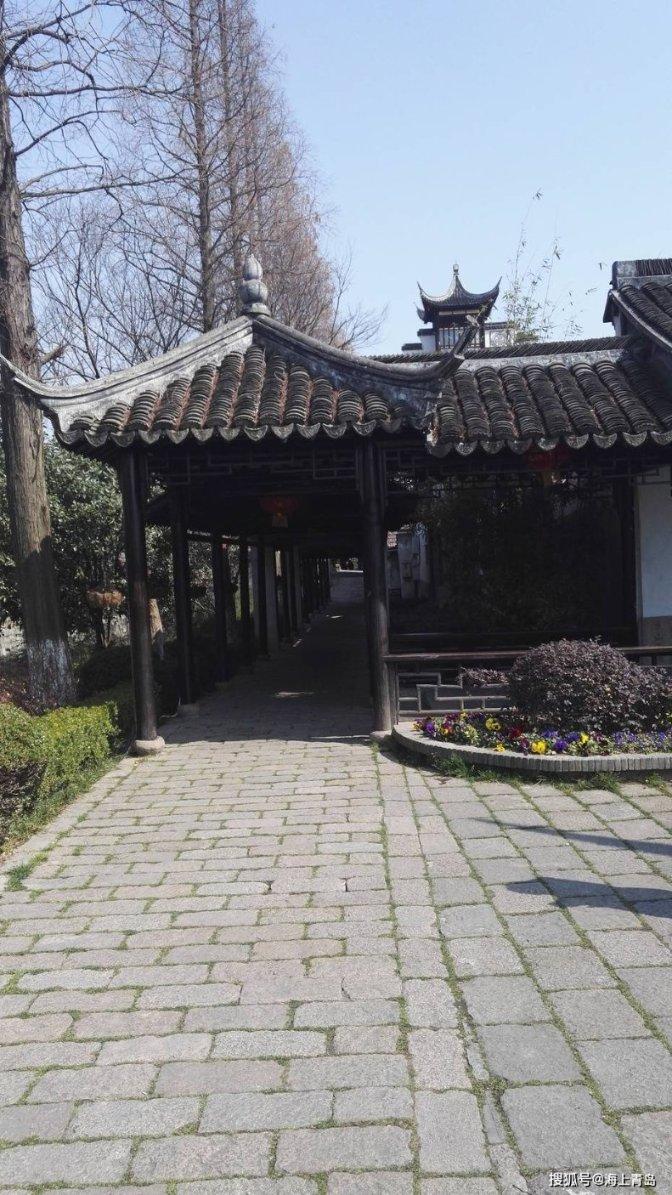 低碳清爽年菜之透抽冷盘,在热闹非凡的年节氛围中,是必不可少的