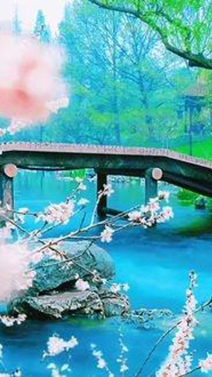 在民政局如何办理离婚手续游戏画面