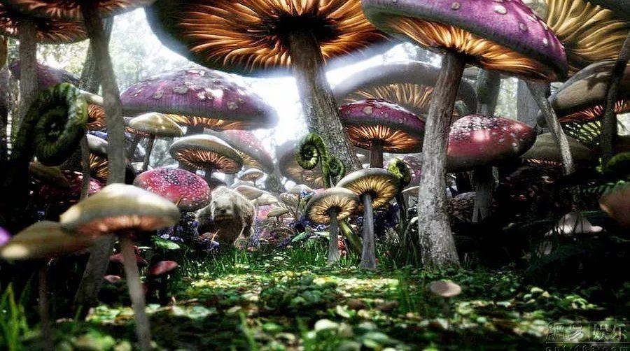 逃离潮湿的房屋