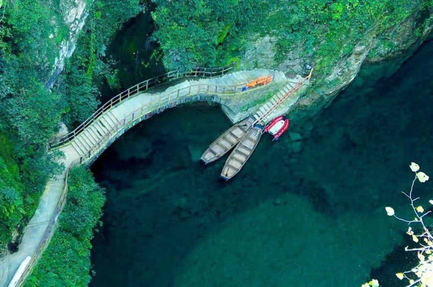 万词王